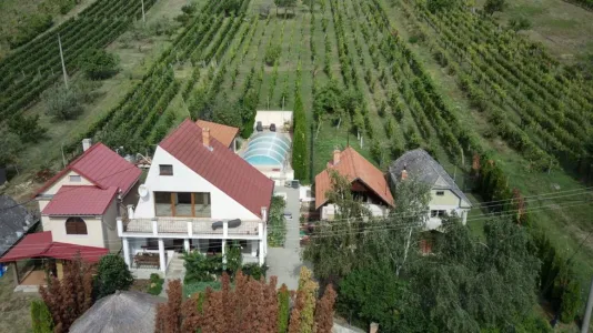 Maison À Vendre 99128 Vinica SK