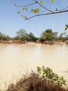 Terrain à bâtir À Vendre 0000 Brikama Gambia  DE