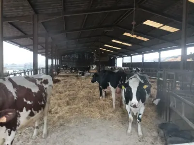 Ferme À Vendre 54000 GRAFIGNY FR