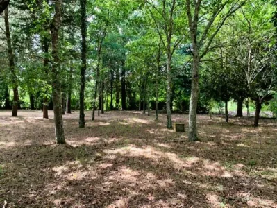 Terrain à bâtir À Vendre 3300 Arganil PT
